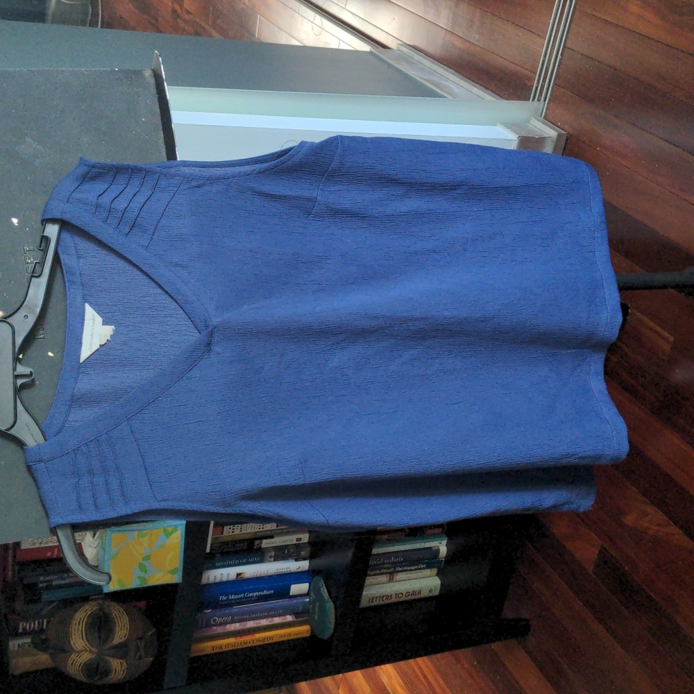 Blue sleeveless top Christopher and banks